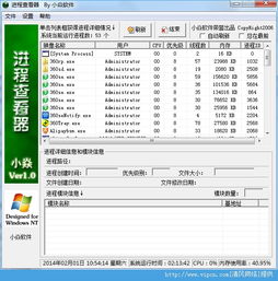 小焱進(jìn)程查看器 v1.0 綠色版 高效系統(tǒng)進(jìn)程查詢(xún)軟件